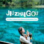 Savoring Chengdu: A Traveler’s Guide to the City’s Best Food