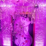 Gala Photography Washington DC: Capturing the Elegance of the Capital’s Most Prestigious Events